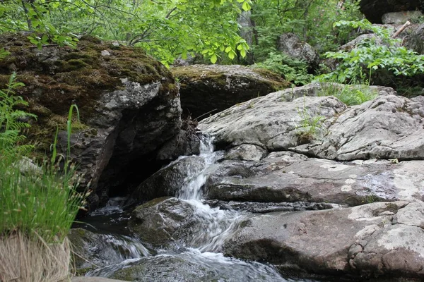 Гірська річка - невеликий водоспад на річці з кришталево чистою водою, яка тече серед сірих каменів у зеленому лісі в хмарний літній день. Великі камені біля ставка. — стокове фото