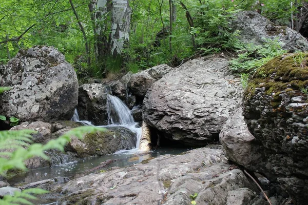 Horská řeka - malý vodopád na řece s křišťálově čistou vodou, která teče mezi šedými kameny v zeleném lese za oblačného letního dne. Velké kameny u rybníka — Stock fotografie