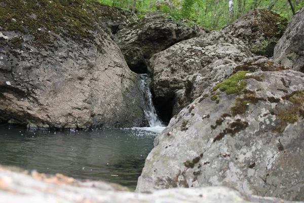 Horská řeka - malý vodopád na řece s křišťálově čistou vodou, která teče mezi šedými kameny v zeleném lese za oblačného letního dne. Zblízka na skále vedle vodní plochy — Stock fotografie