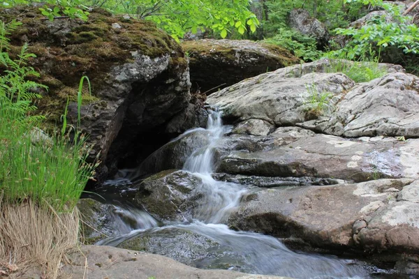 Erstaunlicher Wasserfall inmitten des Bergwaldes. Fluss voller Wasser im Frühling, schön fließende Masse. Schöner Kontrast von Wasser und umgebendem Waldgrün. Steine und frische grüne Blätter. — Stockfoto