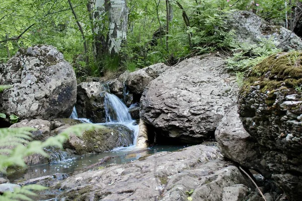 Erstaunlicher Wasserfall inmitten des Bergwaldes. Fluss voller Wasser im Frühling, schön fließende Masse. Schöner Kontrast von Wasser und umgebendem Waldgrün. Steine und frische grüne Blätter. — Stockfoto
