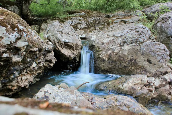 Hegyi folyó - egy kis vízesés egy folyón kristálytiszta vízzel, amely szürke kövek között folyik egy zöld erdőben egy felhős nyári napon. Egy szikla közelében, egy víztest mellett. — Stock Fotó