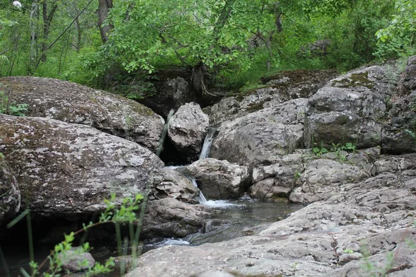 Гірська річка - невеликий водоспад на річці з кришталево чистою водою, яка тече серед сірих каменів у зеленому лісі в хмарний літній день. Закріпіть скелю біля водойми. — стокове фото