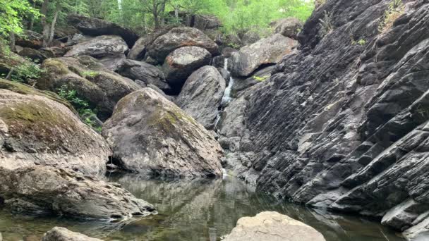 Panorámás kilátás. Hegyi folyó - egy kis vízesés egy folyón kristálytiszta vízzel, amely szürke kövek között folyik egy zöld erdőben egy felhős nyári napon. Egy szikla közelében, egy víztest mellett. — Stock videók