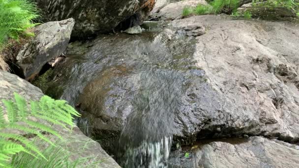 Hegyi folyó - egy kis vízesés egy folyón kristálytiszta vízzel, amely szürke kövek között folyik egy zöld erdőben egy felhős nyári napon. Egy szikla közelében, egy víztest mellett. — Stock videók