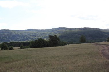 Gün batımında dağlarda dağ gölü olan büyüleyici panoramik bir manzara. Rahatlama, uyum, anti-stres konsepti. Gün batımı. Lagoon