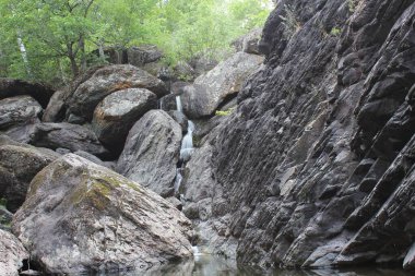 Dağ şelalesi. Dağ nehri, yoğun bir ormanın ortasında, gri büyük kayaların arasında.