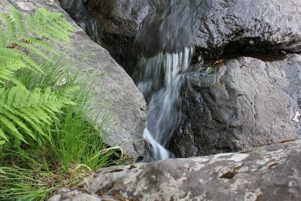 Horský vodopád. Horská řeka mezi šedými obrovskými balvany uprostřed hustého lesa — Stock fotografie
