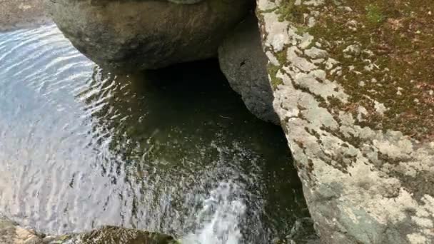 Cascata di montagna. Fiume di montagna tra enormi massi grigi nel mezzo di una fitta foresta — Video Stock