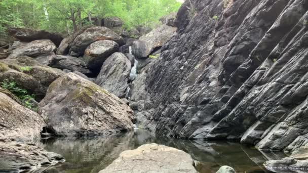 Fjällvattenfall. Berg flod bland gråa stora stenblock mitt i en tät skog — Stockvideo
