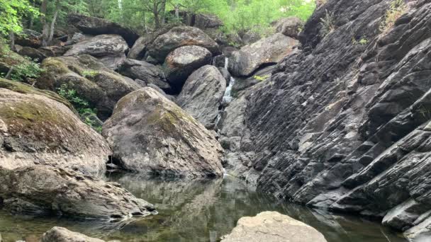 Fjällvattenfall. Berg flod bland gråa stora stenblock mitt i en tät skog — Stockvideo