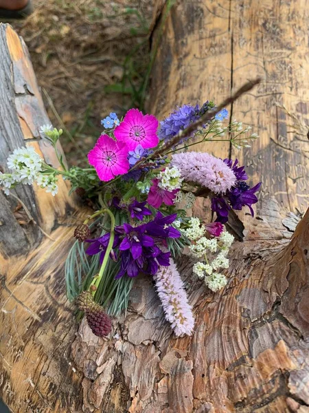 Hermosas flores en una textura de madera. Flores rosas, púrpuras, amarillas. Un primer plano de una flor — Foto de Stock