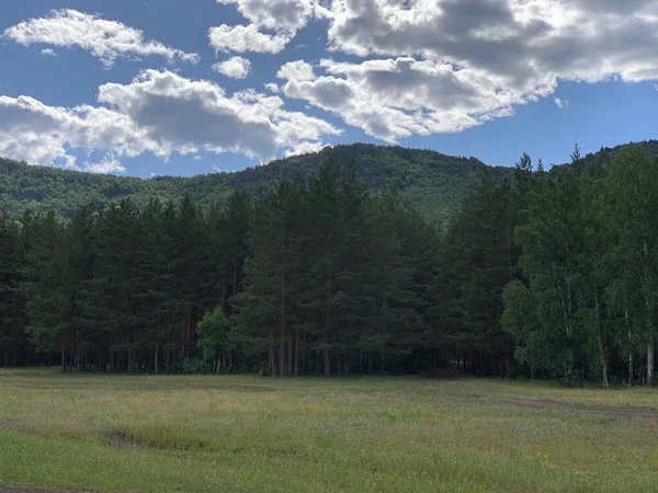 Panoramautsikt. Vackert sommarlandskap. Berg, blå himmel och gröna fält, skogEn grupp moln på himlen — Stockfoto