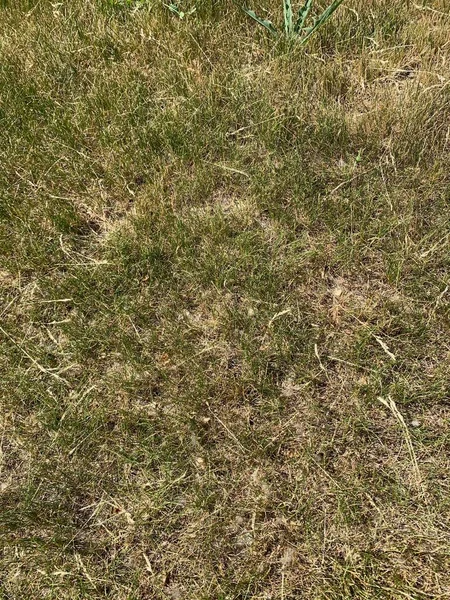 Panoramik manzara. Güzel yaz manzarası. Dağlar, mavi gökyüzü ve yeşil tarlalar, gökyüzündeki bir grup bulut