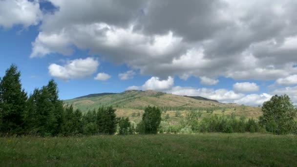 パノラマビュー。美しい夏の風景。山、青い空と緑のフィールド、森林。空に雲のグループ。ピークの風景の背景。観光、旅、ハイキングのコンセプト. — ストック動画