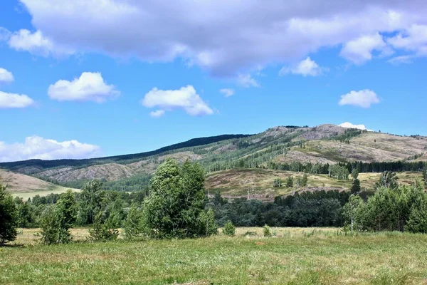 Impresionante paisaje de verano. Un gran campo verde con árboles en el fondo —  Fotos de Stock