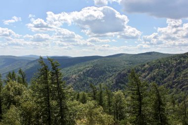 Dağlı ve göllü panoramik bir yaz manzarası hayal ettim. Arkasında dağ olan bir ağaç.