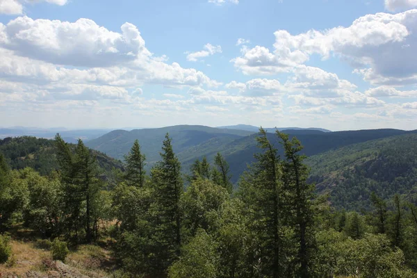 Dağlar ve göllerle panoramik yaz manzarası. Arkasında dağ olan bir ağaç.
