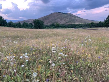 Muhteşem dağlar. Dağlık kırsal alanda bir alan. Güzel bir kır manzarası, güzel bir gökyüzü ve bir yaz günü