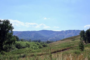 Yaz panoramik manzarası, çayırlar ve dağlarla dolu. Arkasında ağaçlar olan büyük yeşil bir alan.
