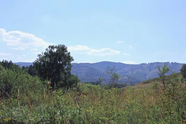 Vackert sommarlandskap med ängar och berg — Stockfoto