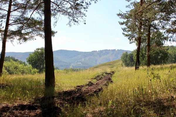 Uma vala na floresta é um obstáculo aos incêndios. Bela paisagem de verão com campos de prados e montanhas — Fotografia de Stock