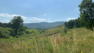 Yaz panoramik manzarası, çayırlar ve dağlarla dolu. Arkasında ağaçlar olan büyük yeşil bir alan.