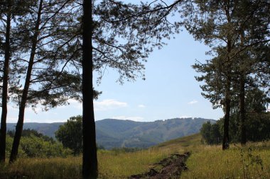 Ormandaki bir hendek yangınların önündeki bir engeldir. Çayırların ve dağların olduğu güzel yaz manzarası