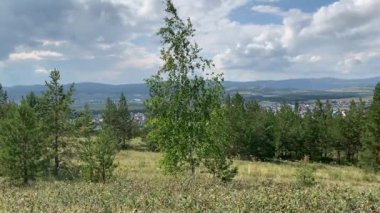 Panoramik manzara. Dağ ormanlarının güzel doğal manzarası. Güney Urallar 'ın en iyi manzarası.