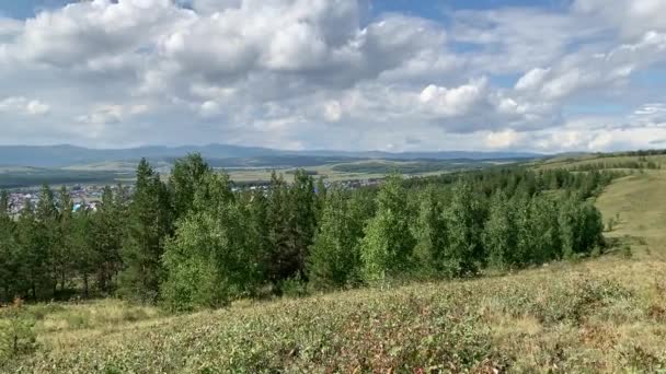 Panoramablick Schöne Naturlandschaft mit Feldern von Bergwäldern Top View Natur des Südurals Russische Seele auf dem Land — Stockvideo