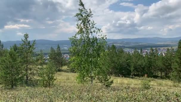 Panoramik manzara. Dağ ormanlarının güzel doğal manzarası. Güney Urallar 'ın en iyi manzarası. — Stok video