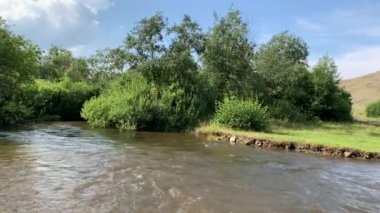 4K Temiz, soğuk bir dağ nehri yeşil ormanlarla kıyılar boyunca akar