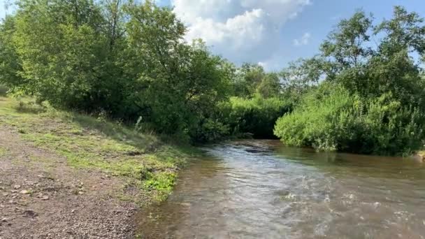 4K Un río limpio y frío corre a lo largo de las orillas con bosques verdes — Vídeo de stock