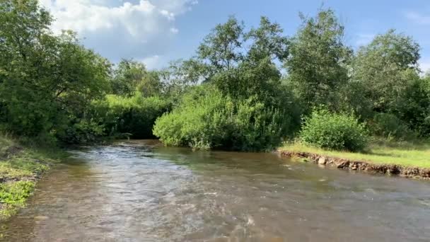 4K A clean, cold mountain river runs along the banks with green forests — Stock Video