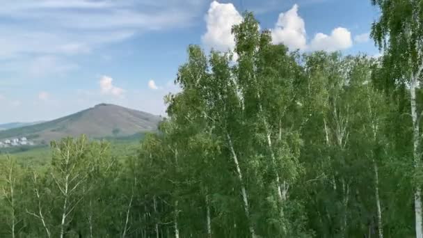 4K Vista das montanhas, florestas, campos, céu azul, bonde aéreo descendo da cabine do teleférico — Vídeo de Stock