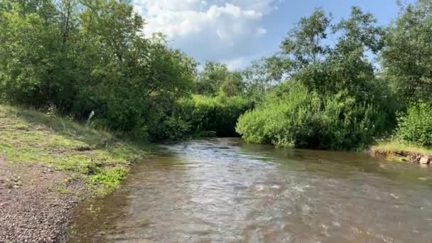 4K En ren, kall fjällälv rinner längs stranden med gröna skogar — Stockvideo