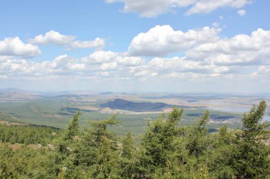 # Bakımlı yeşil çimenlikteki sulama hortumu #