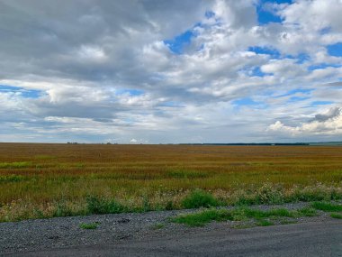 Gökyüzünde bulutlar olan büyük yeşil bir alan. Tarlalarda köy yolu. Yaz hasadı, tarım ve tarım.