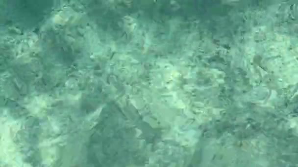 4K Raues tiefes türkisfarbenes und blaues Ägäischen Meer mit klarem, blauem Wasser, das sich im Sonnenhintergrund reflektiert — Stockvideo