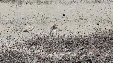 4K Genç bir kız temiz zümrüt deniz sularına giriyor, kumlu tabanı görünüyor, Ege Denizi 'nin temiz gölgeleri ve renkleri. Güzel, saf doğa çekimi.