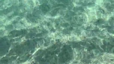 4K kristal berrak deniz suları, kumlu taban, Ege Denizi 'nin temiz gölgeleri ve renkleri. Güzel, saf doğa çekimi.