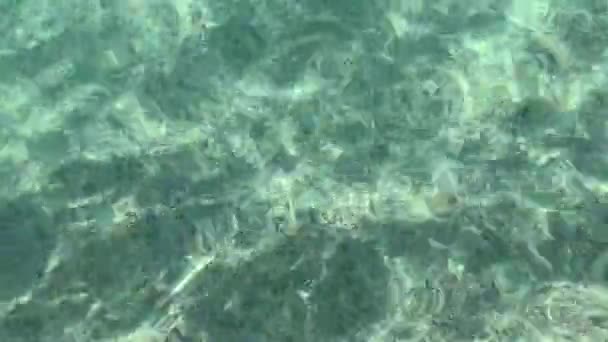 4K Kristallklares Meerwasser, durchsichtiger Sandboden, saubere Schattierungen und Farben der Ägäis. Schöne Naturaufnahmen pur — Stockvideo