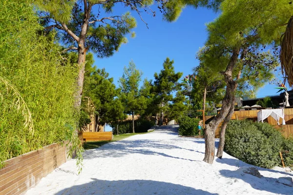 Бодрум, Туреччина - серпень 2020: пляж з білим піском, соснами, чисте блакитне небо, бамбукові парасольки. Розслаб концепцію туризму — стокове фото