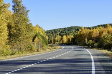 Autumnal Park 'ta. Sonbahar Ağaçları ve Yaprakları. Düş! Altın yeşili turuncu yapraklar. Altın huş ağacı. Altın büyülü ormanın içinden geçen yol 