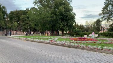 4K video Güzel Moskova şehri yaz manzaraları: çiçek tarlaları