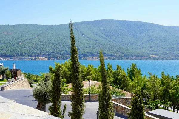 Ege Denizi 'nin zümrüt körfezinde yeşil tepeler, okaliptüsler ve kar beyazı yatlarla güzel panoramik manzaralar. Lüks turizm konsepti, Lujo Hotel Bodrum