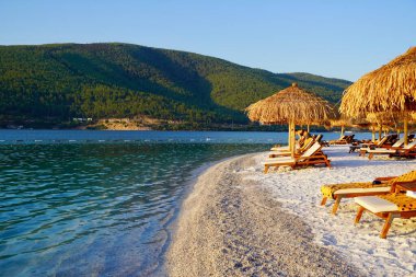 Bodrum, Rusya - Ağustos 2020: Güzel tropikal plaj afişi. Beyaz kum ve kakao palmiyeleri, turizm boyunca seyahat eder. Renk sürecini güçlendir. Lüks ada tatil beldesi ya da