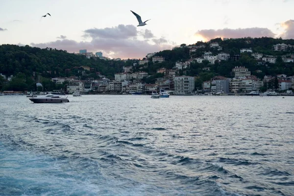 İstanbul gün batımında ufuk çizgisi, Türkiye. İstanbul 'un güzel şehir manzarası ve yolcu gemileri. İstanbul 'da yaz günü gün batımında seyahat ve tatil