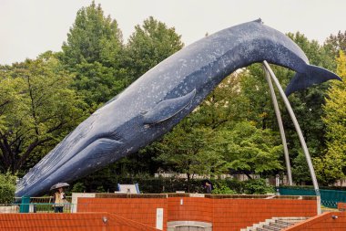Tokyo / Japonya - 21 Ekim 2017: Ueno Park, Tokyo 'daki Ulusal Doğa ve Bilim Müzesi önünde Mavi Balina' nın gerçek boyutta bir kopyası.