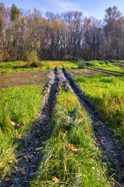 Sırbistan 'ın kuzeyindeki Voyvodina' nın Backa bölgesindeki Tuna Nehri boyunca yer alan bataklık kompleksi Özel Doğa Rezervi Koviljsko Petrovaradinski Rit 'teki (Kovilj Petrovaradin bataklıkları) çamurlu yol.